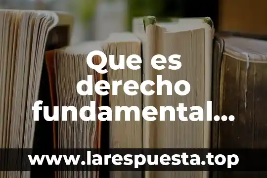 Que es el derecho fundamental de caseworker 3 Que es derecho fundamental segun miguel carbonel
