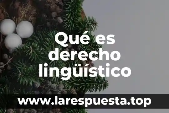 Qué es derecho lingüístico