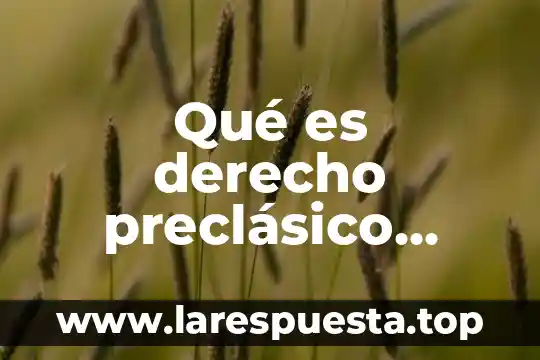 Concepto de que es el derecho romano 8 Qué es derecho preclásico romano