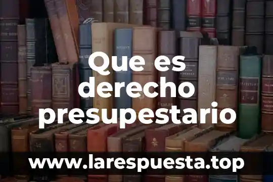 Qué es el seudónimo en derecho 5 Que es derecho presupestario