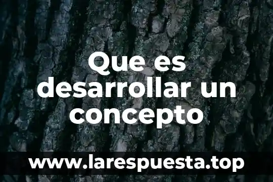 Que es desarrollar un concepto