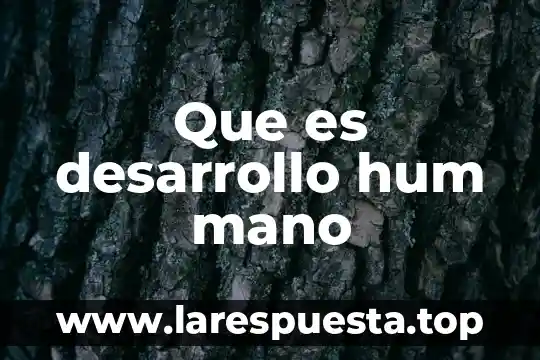 Que es productos de primera mano 8 Que es desarrollo hum mano
