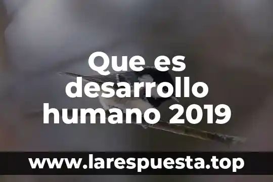 Que es desarrollo humano 2019