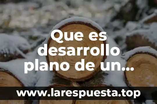 Que es desarrollo plano de un cuerpo geometrico