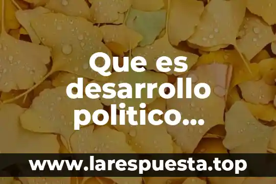 Que es desarrollo politico humano