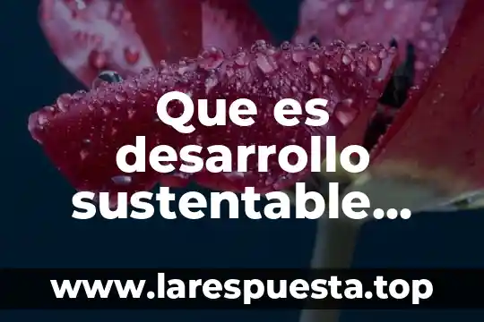 Que es el plan de desarrollo en méxico 5 Que es desarrollo sustentable ejemplos claros