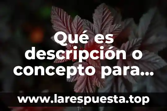 Qué es descripción o concepto para el SAT