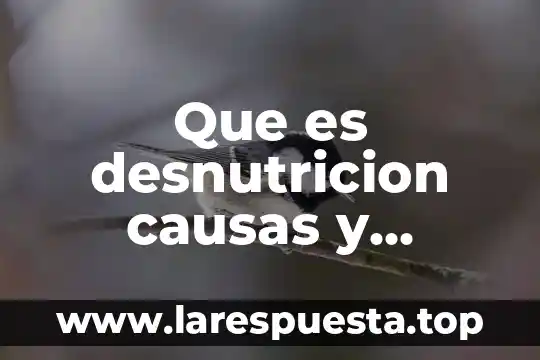 Que es hipoxia y causas 5 Que es desnutricion causas y clasificacion