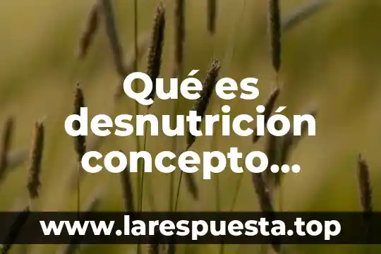 Qué es desnutrición concepto breve