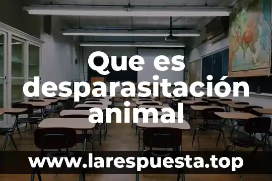Qué es el animal racún 3 Que es desparasitación animal