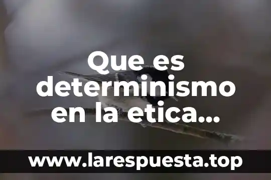 Que es determinismo en la etica ejemplos