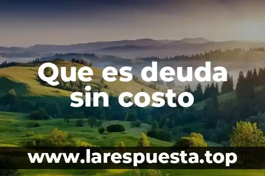 Costo final para el empleador que es 4 Que es deuda sin costo