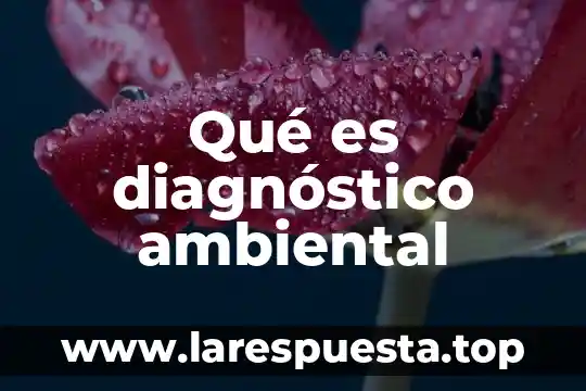 Que es la cultura de elite yahoo 4 Qué es diagnóstico ambiental