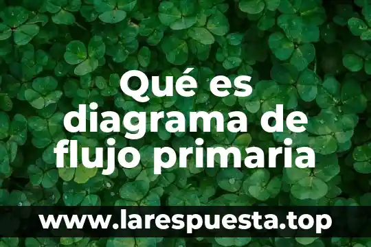 Que es el flujo de materia y energia 6 Qué es diagrama de flujo primaria