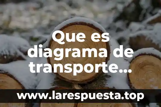 Que es el medio de promocion fax ventajas y desventajas 8 Que es diagrama de transporte ventajas y desventajas