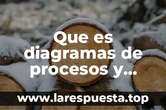 Que es un centro de aprendizaje de inteligencias multiples 3 Que es diagramas de procesos y gráficos de productos múltiples