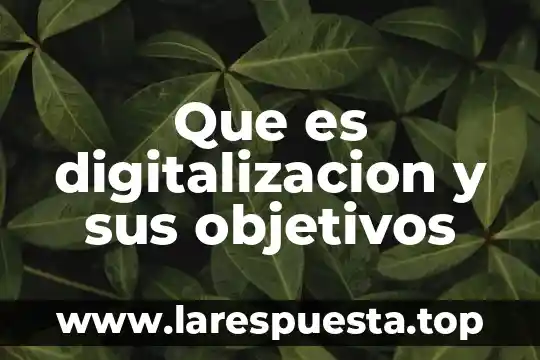 Que es digitalizacion y sus objetivos