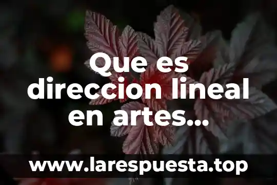 Que es direccion lineal en artes plasticas