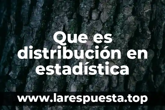 Que es distribución en estadística