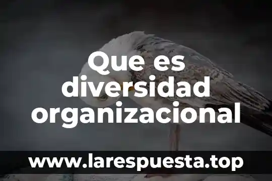 Qué es el cross-functional training en desarrollo organizacional 3 Que es diversidad organizacional