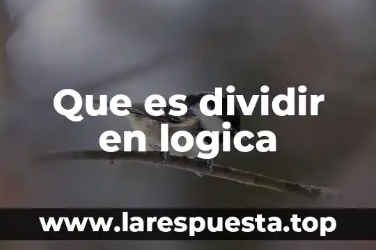 Que es una gráfica en español 6 Que es dividir en logica