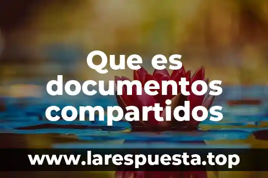 Que es consulta de documentos 6 Que es documentos compartidos