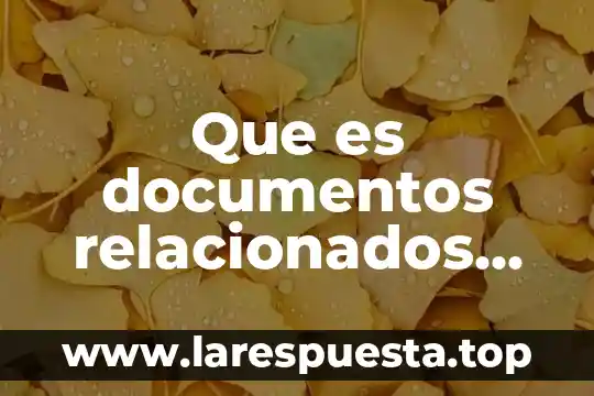 Que es una persona fisica para el sat 8 Que es documentos relacionados en sat