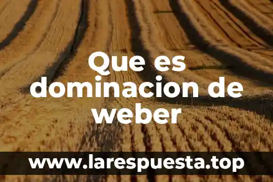 Que es rectificador monofásico controlado de onda completa 4 Que es dominacion de weber