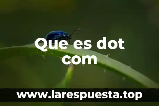 Creditea com que es 3 Que es dot com