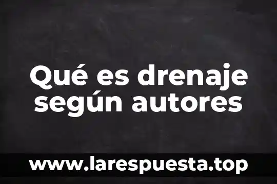 Según Freud que es el ello yo superyo 3 Qué es drenaje según autores