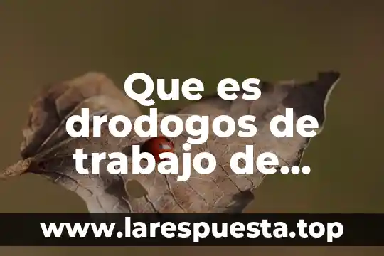 Que es dividir el trabajo por edad y sexo 5 Que es drodogos de trabajo de partopmedicina