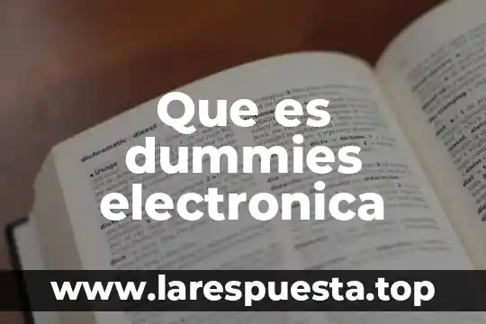 Que es dummies electronica