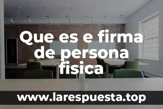 Que es e firma de persona fisica