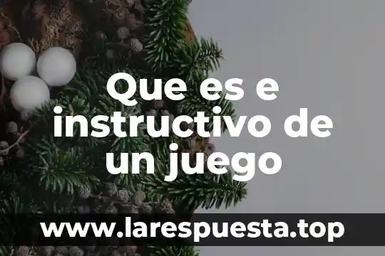 Que es e instructivo de un juego
