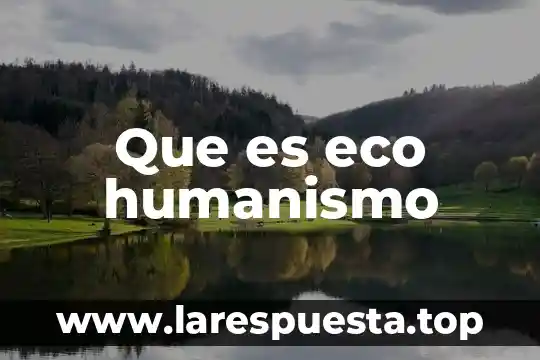 Que es eco en electronica 4 Que es eco humanismo