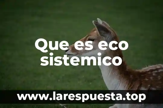 Que es eco sistemico