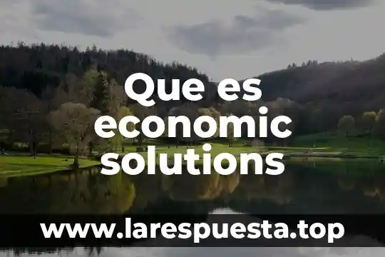 Que es economic solutions