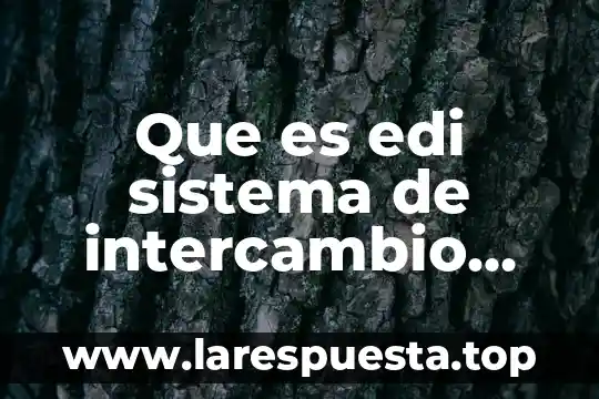 Que es un sistema de 3x3 5 Que es edi sistema de intercambio electrónico de datos