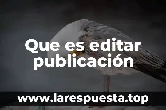 Que es editar publicación