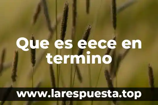 Que es eece en termino