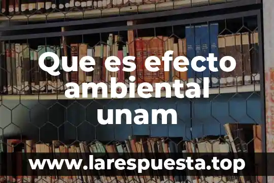 Que es efecto ambiental unam