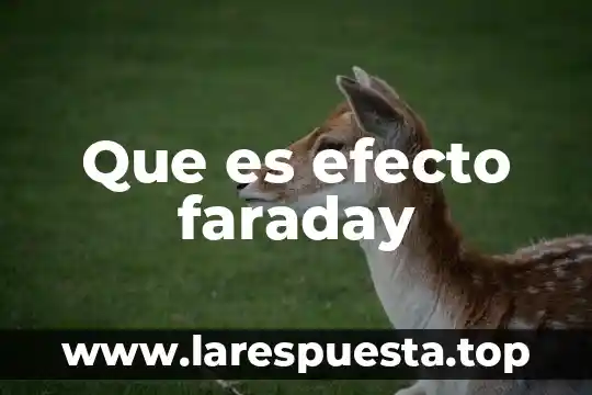 Qué es un efecto paradojal 8 Que es efecto faraday