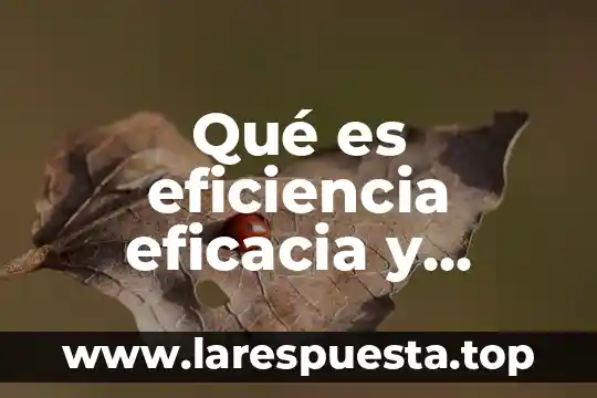 Qué es eficiencia eficacia y efectividad