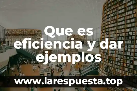 Que es eficiencia y dar ejemplos