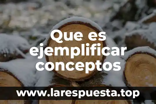 Que es ejemplificar conceptos