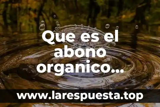 Que es cargo y abono en contabilidad yahoo 5 Que es el abono organico gallinaza
