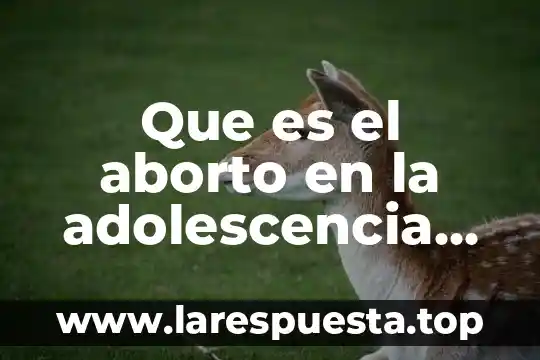 Que es el aborto en la adolescencia concepto