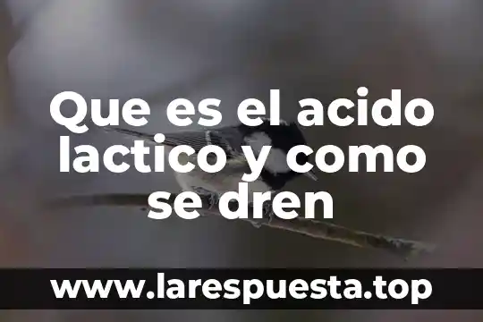 Qué es el analizadores de ácido láctico 3 Que es el acido lactico y como se dren