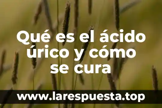 Qué es la enfermedad del ácido úrico 8 Qué es el ácido úrico y cómo se cura