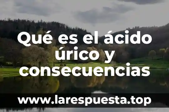 Qué es el ácido úrico y cómo se cura 8 Qué es el ácido úrico y consecuencias